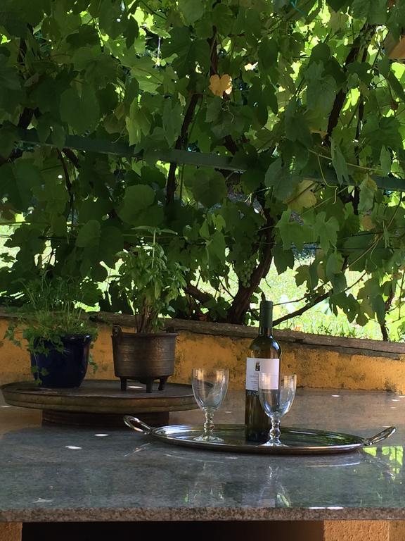 La Casanova Bed & Breakfast Turin Exterior photo